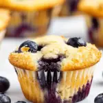 Keto Coconut Flour Blueberry Muffins